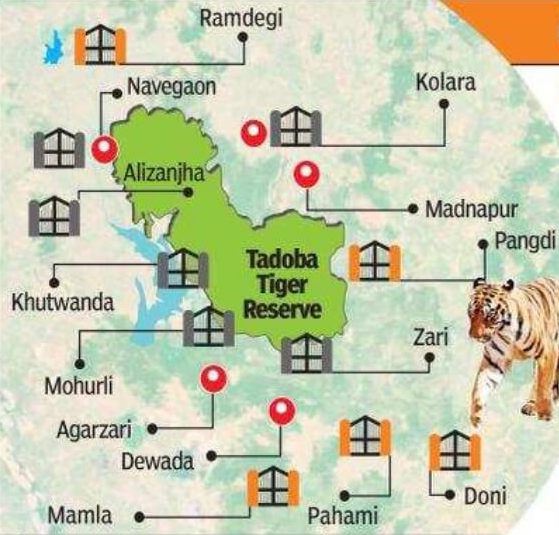 navegaon gate tadoba safari booking