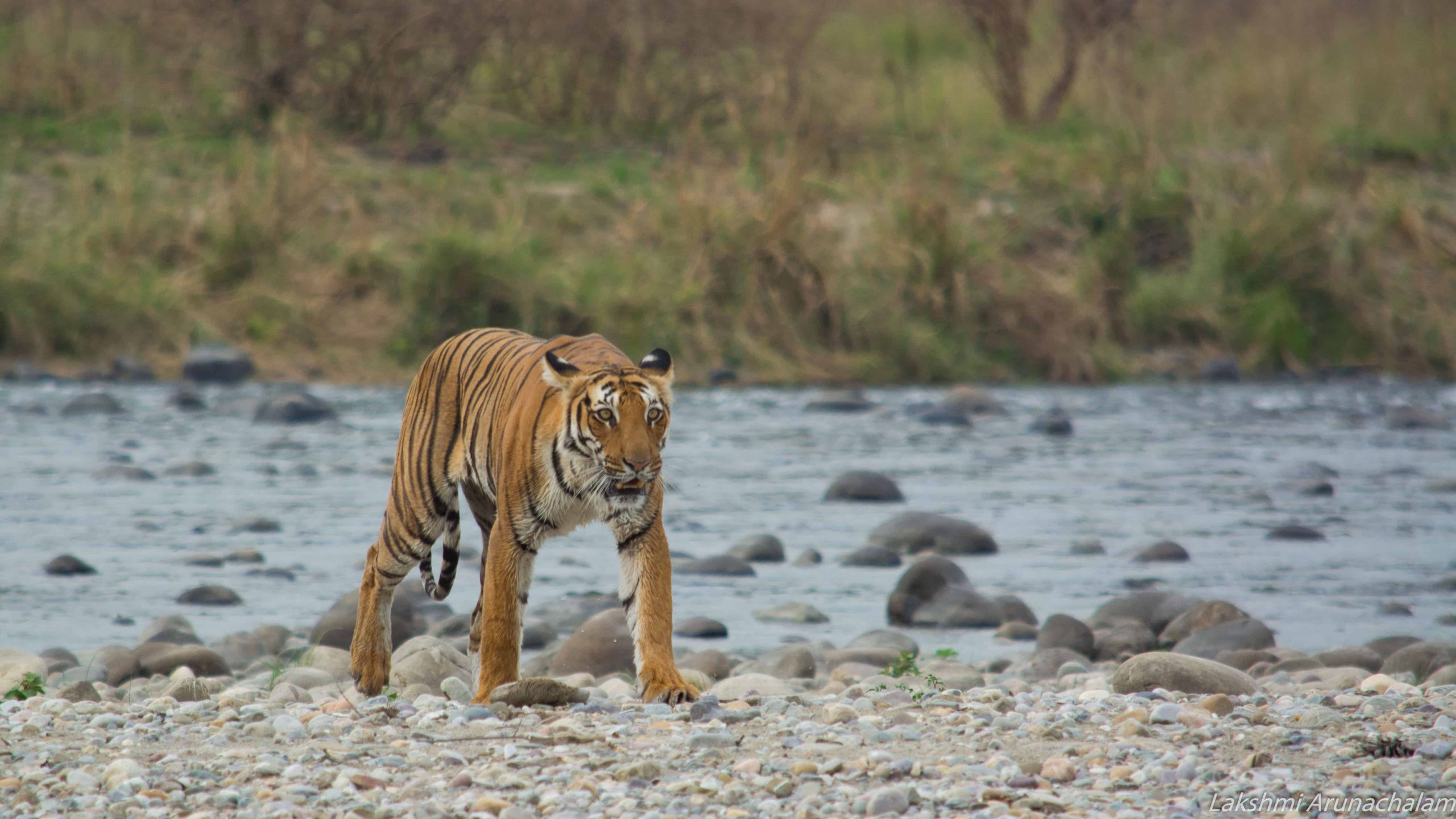 tadoba national park nearest tourist places